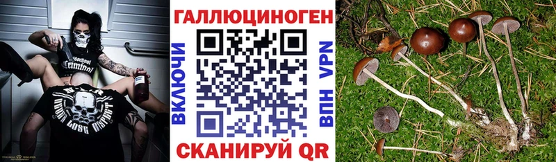 Псилоцибиновые грибы Psilocybine cubensis  кракен сайт  Ейск 