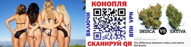 кракен   даркнет сайт  Ейск  Канабис OG Kush 